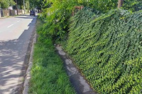 Neprohodan deo pešačke staze u Teslinoj ulici