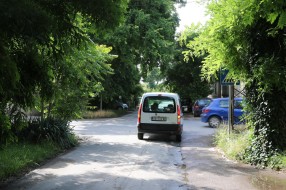 Saobraćajni znakovi STOP i pešački prelaz u Prvomajskoj zaklonjeni rastinjem