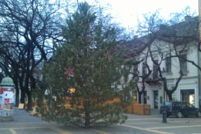 Kada će se skloniti davno raskićena jelka u centru grada?