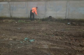 Nesavesno odlaganje otpada u ulici Otmara Majera