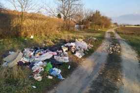 Nesavesno odlaganje otpada u ulici Otmara Majera