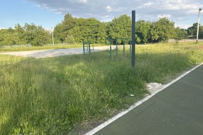 Košenje trave u Aleksandrovu