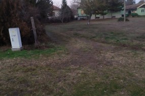 Svakodnevni napadi pasa na Palićkom putu