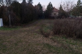 Svakodnevni napadi pasa na Palićkom putu