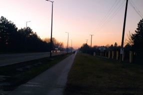 Svakodnevni napadi pasa na Palićkom putu