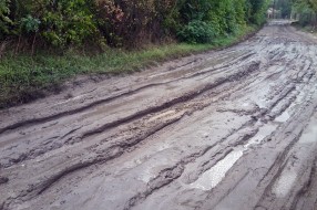 Kako nama izgleda naša ulica (deo Bračke ulice)