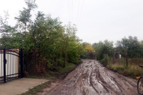 Kako nama izgleda naša ulica (deo Bračke ulice)