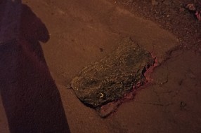 Rupa u ulici Nade Dimić