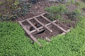 Otvoren šaht kod Otvorenog Univerziteta