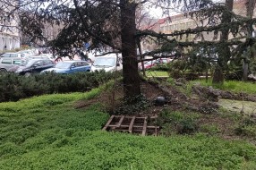 Otvoren šaht kod Otvorenog Univerziteta