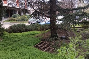 Otvoren šaht kod Otvorenog Univerziteta