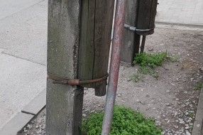 Leteće bandere u Vase Stajića