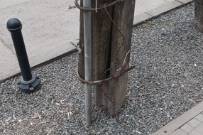 Leteće bandere u Vase Stajića