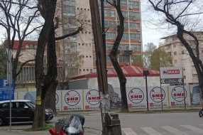 Leteće bandere u Vase Stajića