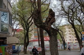 Leteće bandere u Vase Stajića