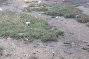 Neuredan parking na Paliću