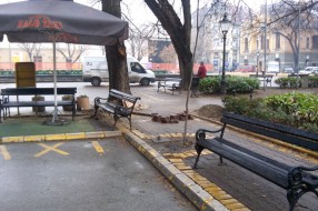 Слика говори више од речи...