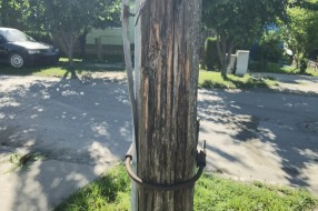 Opasnost od pada ulicne bandere