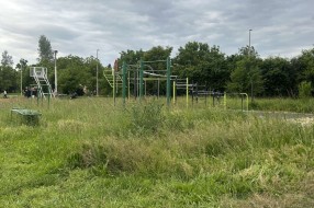 Zaraslo igralište i park