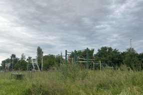 Zaraslo igralište i park