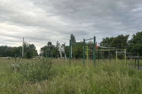 Zaraslo igralište i park