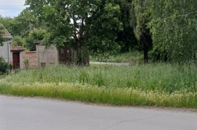 Zarasle javne površine u MZ Novi grad