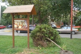 Ugroženo drvo na Radijalcu