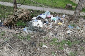 Ruglo u Zmaj Jovinoj ulici