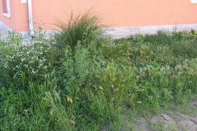 Kireška ulica - nove zgrade bez asfalta