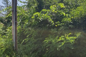 Neprohodni trotoar za pešake u prometnoj ulici!!