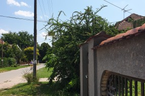 Neprohodni trotoar za pešake u prometnoj ulici!!