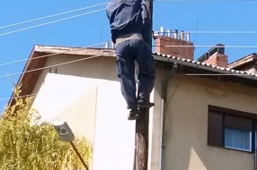 Radnici Elektrovojvodine spašavaju mače