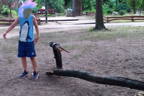 Koliko su bezbedni parkovi!