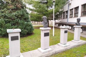 Biste ispred Zavoda za javno zdravlje