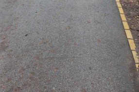 Blato od neočišćenog lišća u Ulici Ivana Gorana Kovačića