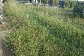 Užasno stanje Mišićanskog groblja