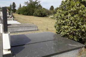 Užasno stanje Mišićanskog groblja