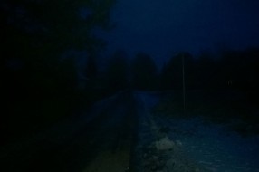 Nedostatak javne rasvete u Vikend Naselju Palić