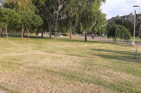 Košenje trave u parku i sušenje drveća na Prozivki