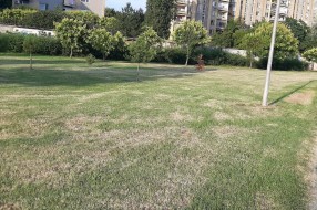 Košenje trave u parku i sušenje drveća na Prozivki
