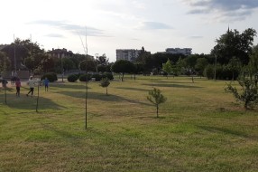 Košenje trave u parku i sušenje drveća na Prozivki