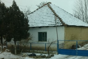 Migranti u Gornjem Tavankutu