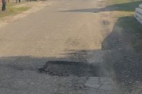Udarne rupe u Pribojskoj ulici