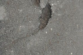 Rupe na trotoaru u Ulici Maksima Gorkog