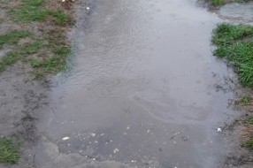 Loše stanje pešačke staze na Beogradskom putu kod Lidla