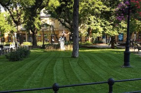 Pohvala za zelene površine u centru grada
