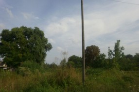 Korov u Jasibari