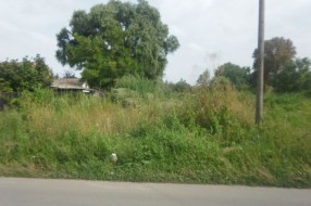 Korov u Jasibari