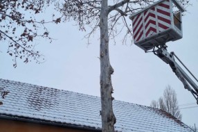 Pala grana na krov kuće (Ugao Kosovske i Vatroslava Lisinskog)