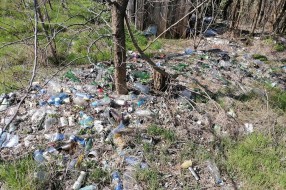 Divlja deponija u Bikovu, u blizini fudbalskog terena
